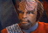 Commander Worf