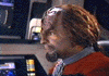 Commander Worf