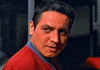 Commander Chakotay